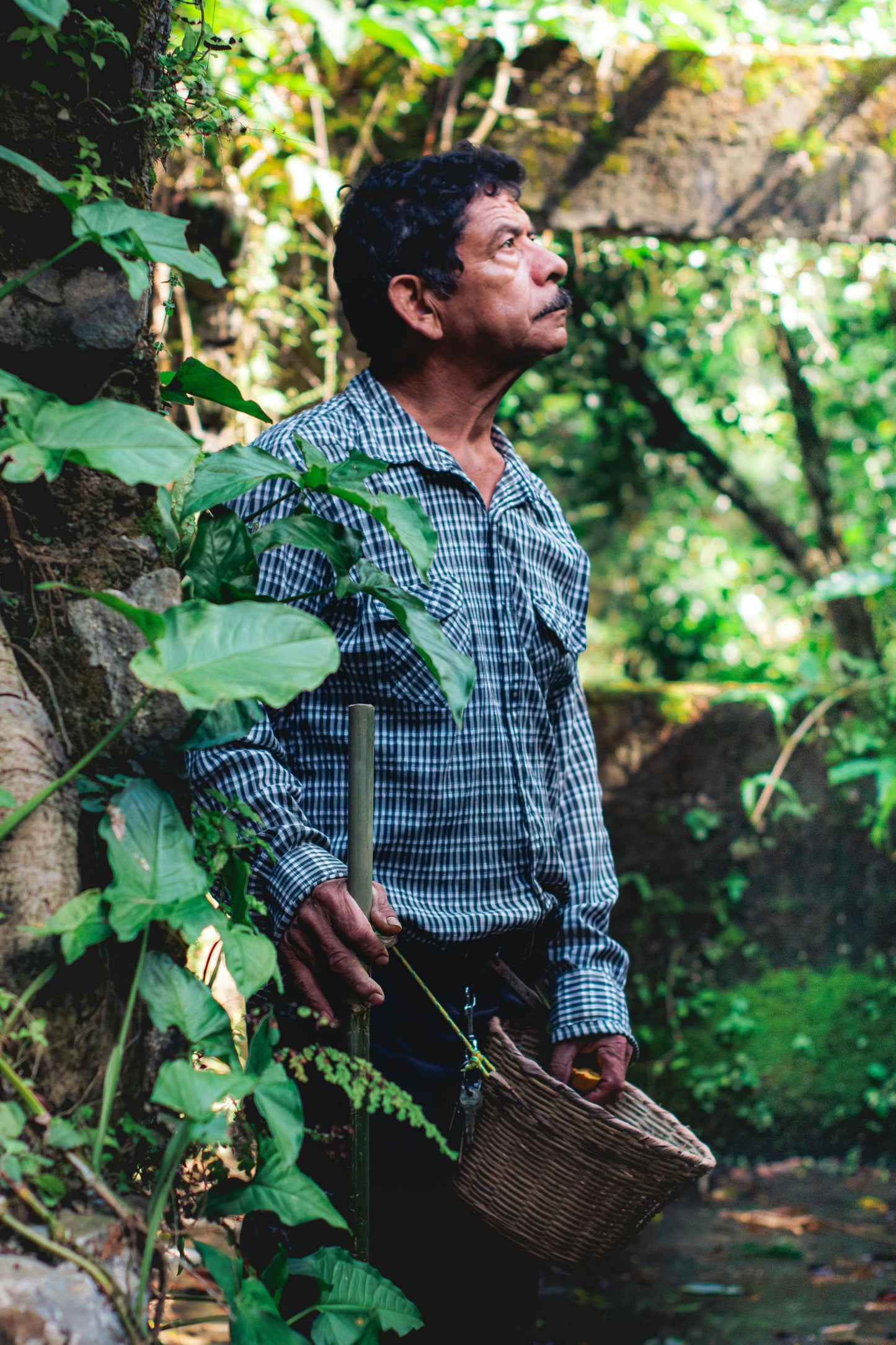 150 CIALDE TOP QUALITY